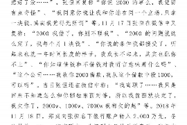 南芬为什么选择专业追讨公司来处理您的债务纠纷？